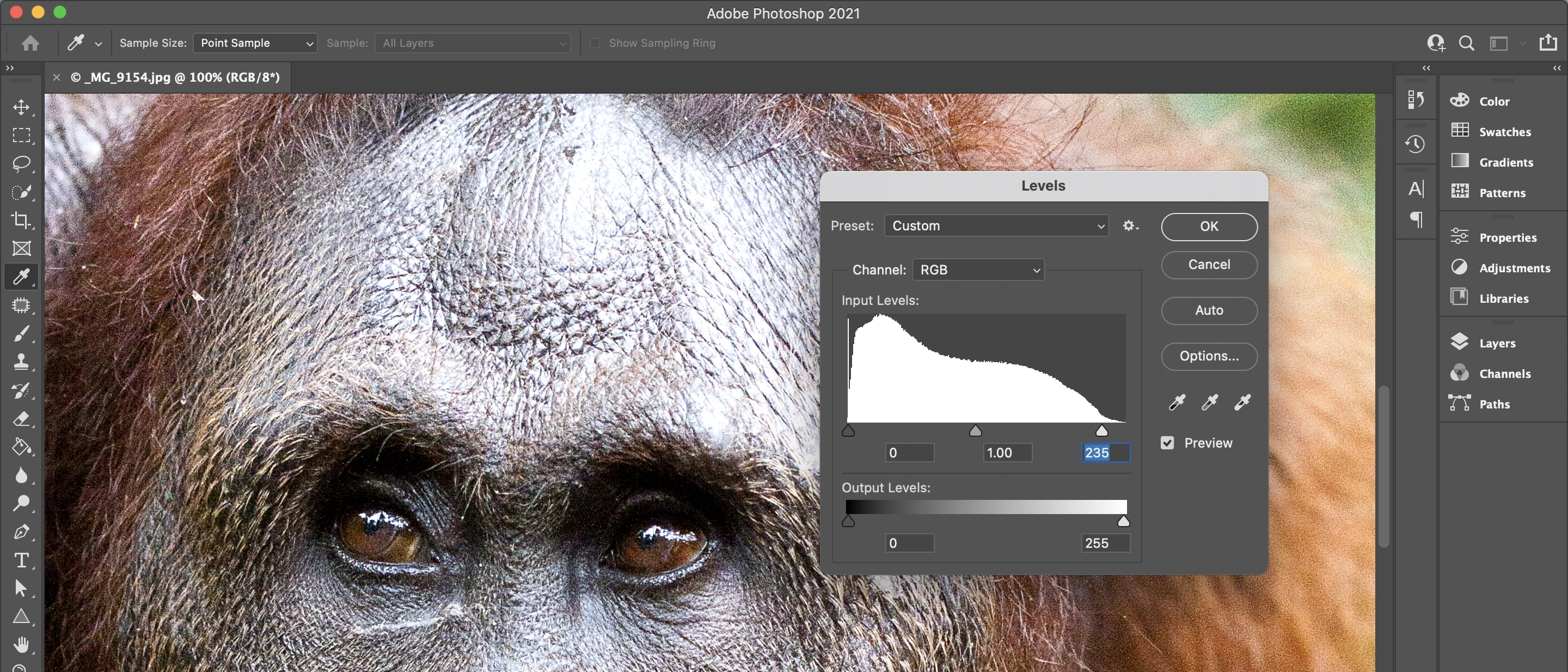Adobe Photoshop 2021 Lisans